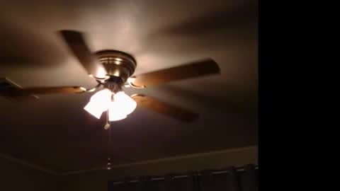 WetFilipinaPussy online show from 9, 11, 2025