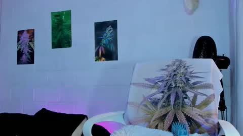 drippyorlove online show from 1, 3, 2026