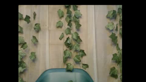 linda online show from 26, 10, 2025