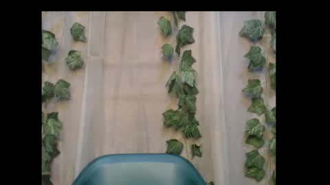 linda online show from 31, 10, 2025