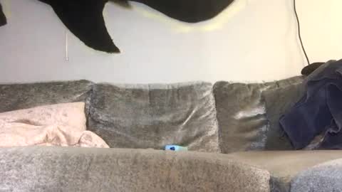 2xTheTrouble online show from 26, 2, 2026