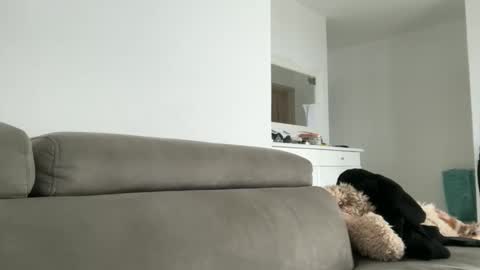 Dr. Resa online show from 18, 10, 2025