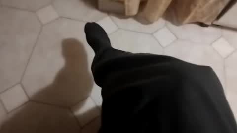 dthedog12 online show from 17, 10, 2025