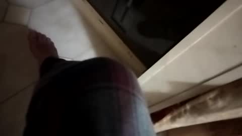 dthedog12 online show from 6, 11, 2025