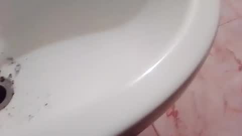 dthedog12 online show from 22, 11, 2025