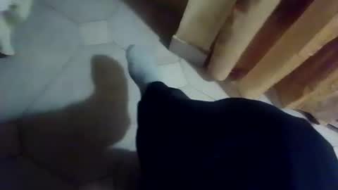 dthedog12 online show from 13, 12, 2025