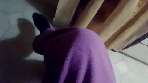 dthedog12 online show from 10, 2, 2026