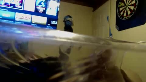 dtrain6969420 online show from 25, 9, 2025