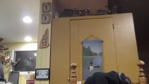 Steve online show from 31, 10, 2025