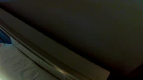 Snapshot of dudeniceguyisback chatting on 21, 12, 2024 dudeniceguyisback online show from 21, 12, 2024