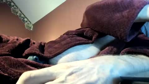 Doug online show from 16, 11, 2025