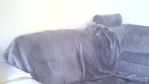 Snapshot of dukenucum73 chatting on 15, 6, 2026 chris online show from 15, 6, 2026