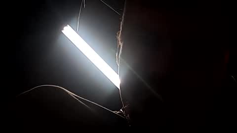 dukester36 online show from 24, 4, 2026