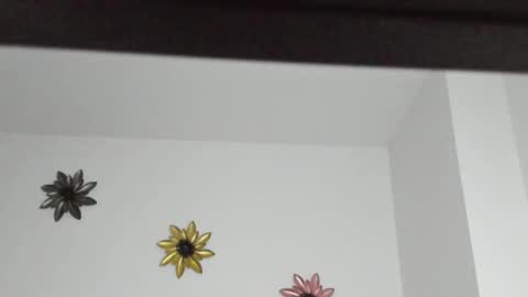 Snapshot of dulce_roberts_ chatting on 5, 1, 2025 Dulce  online show from 5, 1, 2025