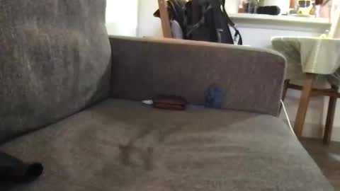 Snapshot of dulcemelo chatting on 17, 3, 2026 dulcemelo online show from 17, 3, 2026