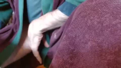 dunany101 online show from 4, 3, 2025