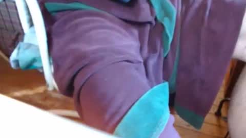 dunany101 online show from 7, 3, 2025