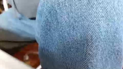 dunany101 online show from 12, 3, 2025