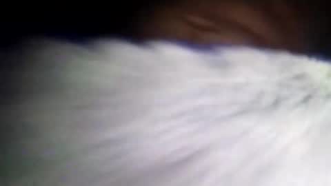 duvanarleyy online show from 16, 10, 2025
