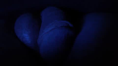 dveinz online show from 13, 2, 2026