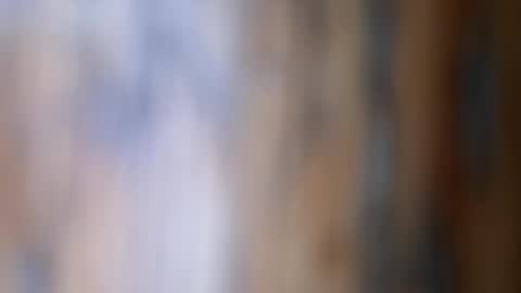 dVe1oPe online show from 26, 11, 2025