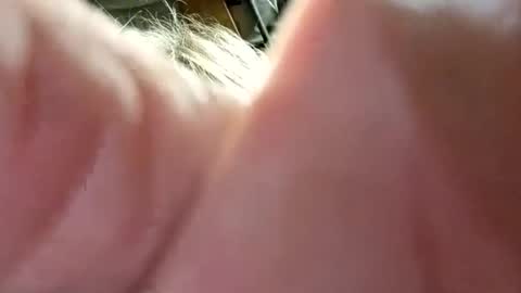 dwr127 online show from 15, 3, 2026