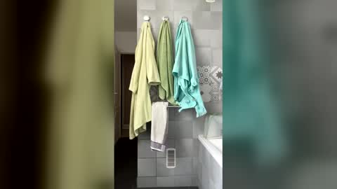 French Guy online show from 15, 4, 2026