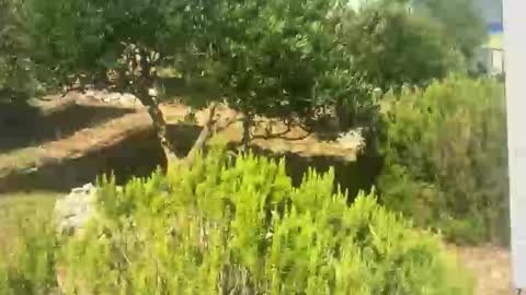 Snapshot of ebnk15 chatting on 30, 9, 2025 ebnk15 online show from 30, 9, 2025