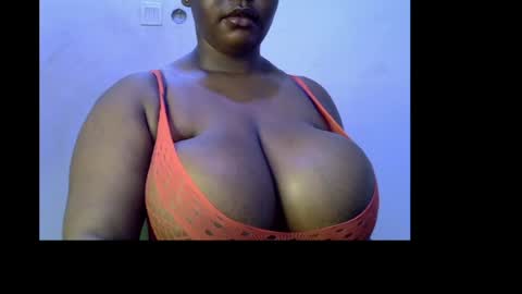 Prisy online show from 1, 5, 2026