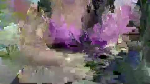 ebonybigtitqueen3 online show from 4, 11, 2025