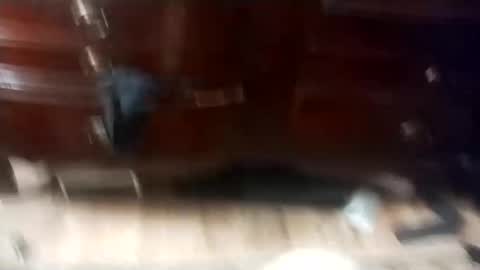 eboy4sale online show from 1, 3, 2025