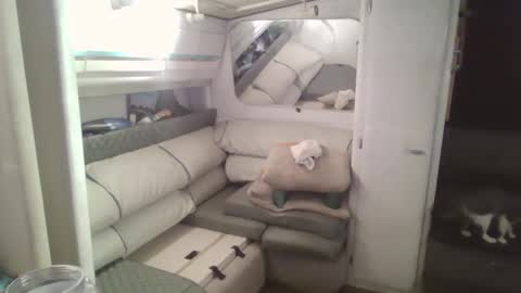 Snapshot of ecko6romeo chatting on 2, 12, 2024 Tim online show from 2, 12, 2024