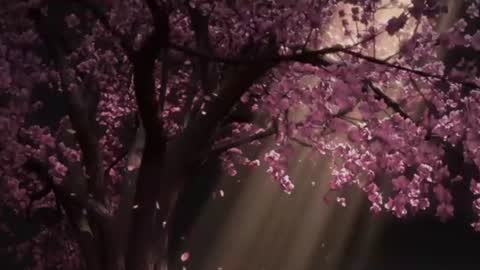 EdenArcadia online show from 25, 6, 2026
