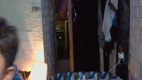 urasian chub online show from 21, 10, 2025