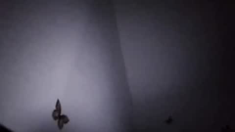 Ekspansion online show from 8, 1, 2026