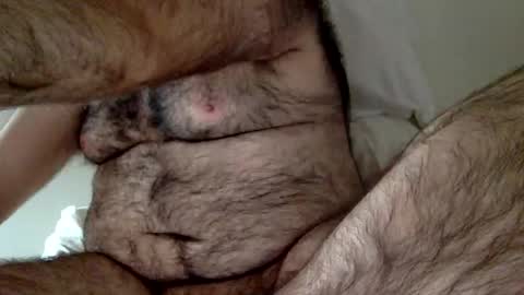 elabear online show from 23, 12, 2024