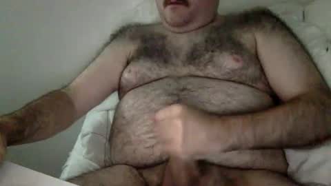 elabear online show from 18, 3, 2026