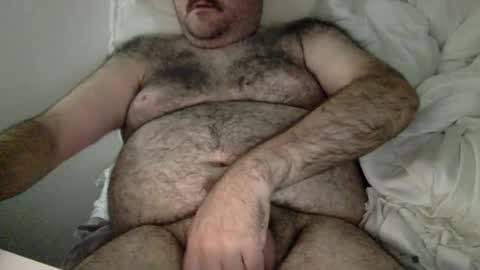 elabear online show from 25, 3, 2026