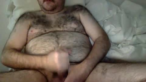 elabear online show from 28, 3, 2026