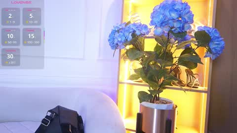 Elasummeer online show from 2, 12, 2025