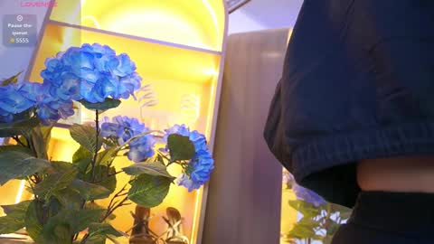 Elasummeer online show from 17, 12, 2025