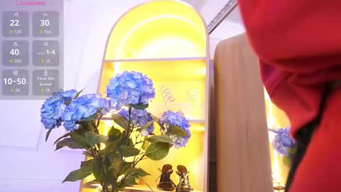 Elasummeer online show from 7, 1, 2026