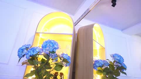 Elasummeer online show from 9, 1, 2026