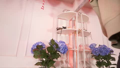 Elasummeer online show from 14, 2, 2026