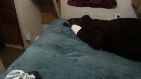Snapshot of elegantdeviance69 chatting on 19, 12, 2024 ElegantDeviance69 online show from 19, 12, 2024