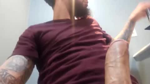 elephant_titus online show from 20, 4, 2026