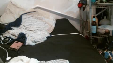 Snapshot of eleventhphoenix chatting on 31, 12, 2024 TheEleventhPhoenix online show from 31, 12, 2024