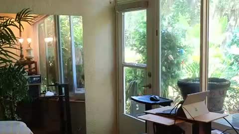 Snapshot of eliberator chatting on 13, 6, 2026 eliberator online show from 13, 6, 2026