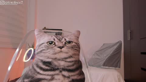 Snapshot of elise_77 chatting on 7, 12, 2024 Eli online show from 7, 12, 2024