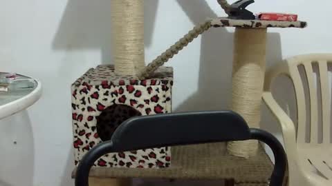 Elizabeth Martinez  online show from 16, 9, 2025